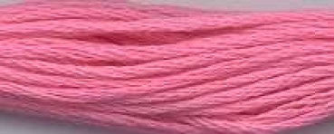 Freundschaftsband erika